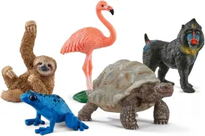 Schleich Wild Animals Realistic Animal Toys 5-Piece Exotic Animal Starter Set with Flamingo, Sloth, Poison Dart Frog, Giant Tortoise and Mandrills Animal Figurines