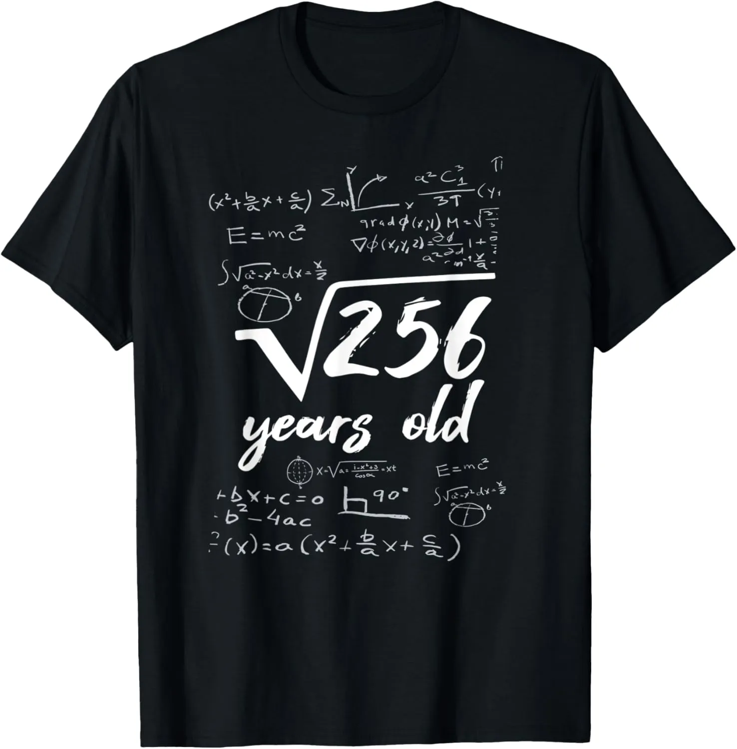 Square Root Of 361 Years Old Math Nerd 19th Birthday Gift T-Shirt